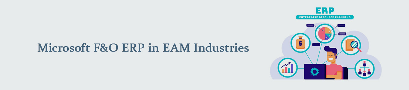 Microsoft F&O ERP in EAM Industries