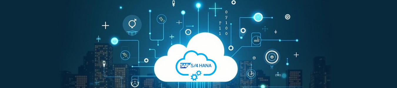 SAP S/4HANA Tecxed