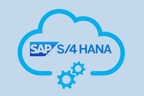 SAP S4 HANA ERP in EAM Industries